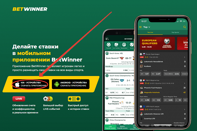The Ultimate Guide to Rugby World Cup Odds The Ultimate Guide to Rugby World Cup Odds