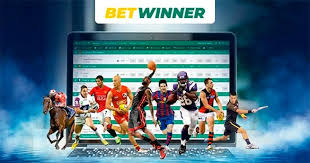 All You Need to Know About Your Account BetWinner France All You Need to Know About Your Account BetWinner France