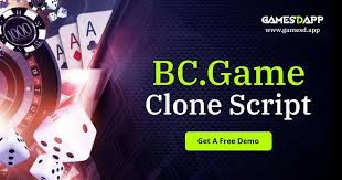 Understanding BC.Game Withdrawal